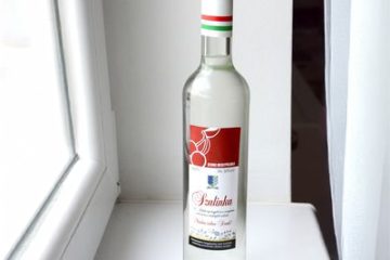 palinka2